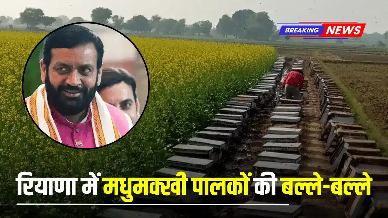 Haryana: हरियाणा में मधुमक्खी पालकों की बल्ले-बल्ले, सैनी सरकार का बड़ा ऐलान आया सामने